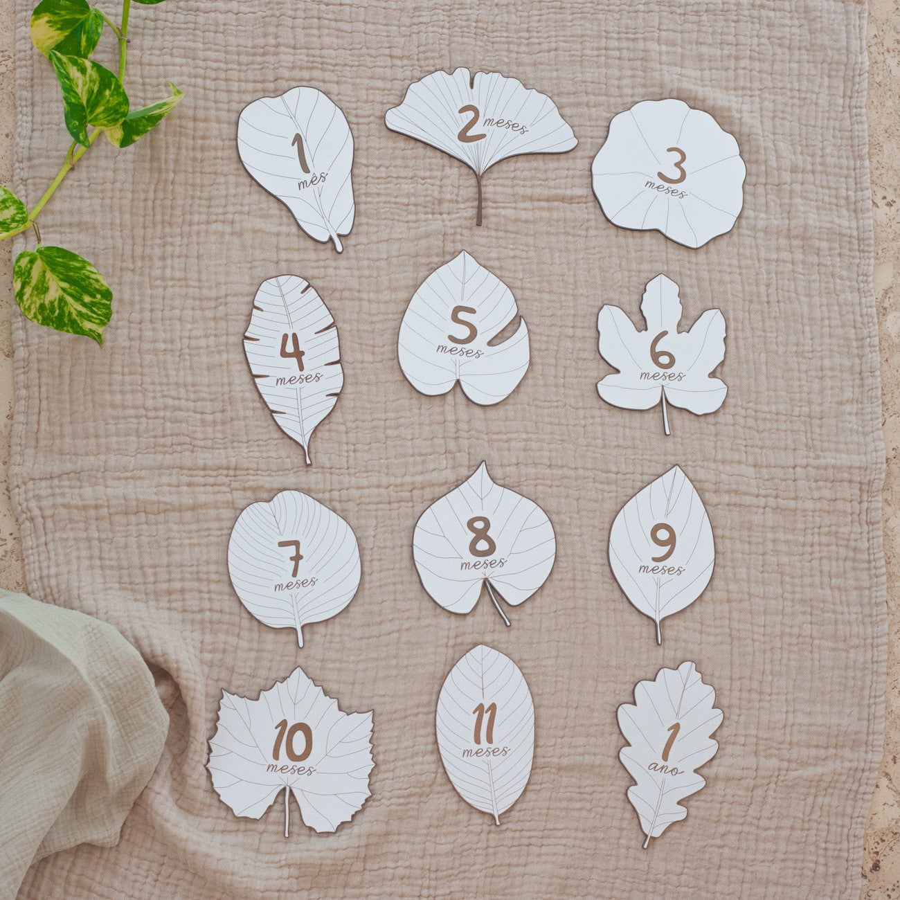 Leaf by leaf - Milestone wooden cards